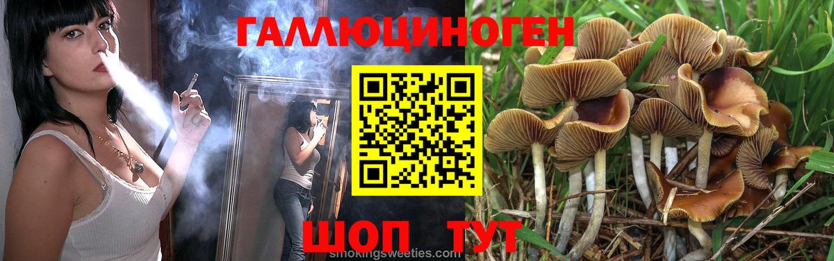 Псилоцибиновые грибы GOLDEN TEACHER  Вход с VPN  Саяногорск 